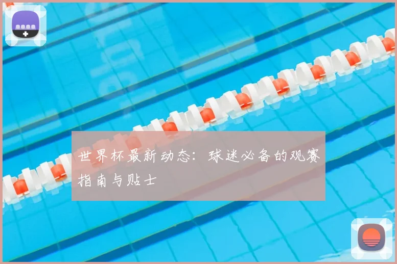 世界杯最新动态：球迷必备的观赛指南与贴士