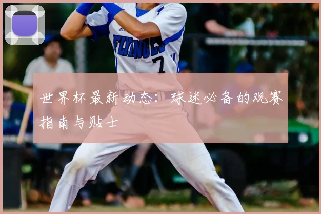世界杯最新动态:球迷必备的观赛指南与贴士