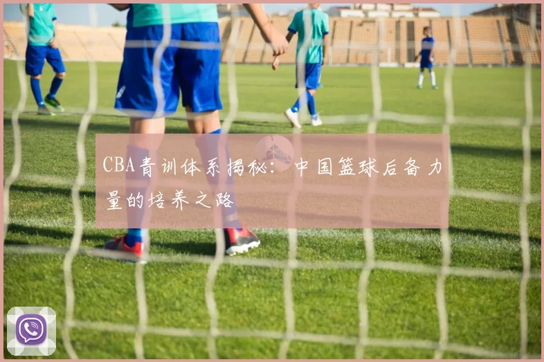 CBA青训体系揭秘:中国篮球后备力量的培养之路
